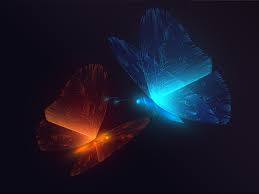 images 1